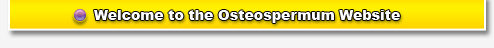 The World's No.1 Osteospermum Resource