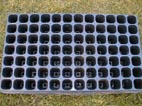 Tray with 84 segments